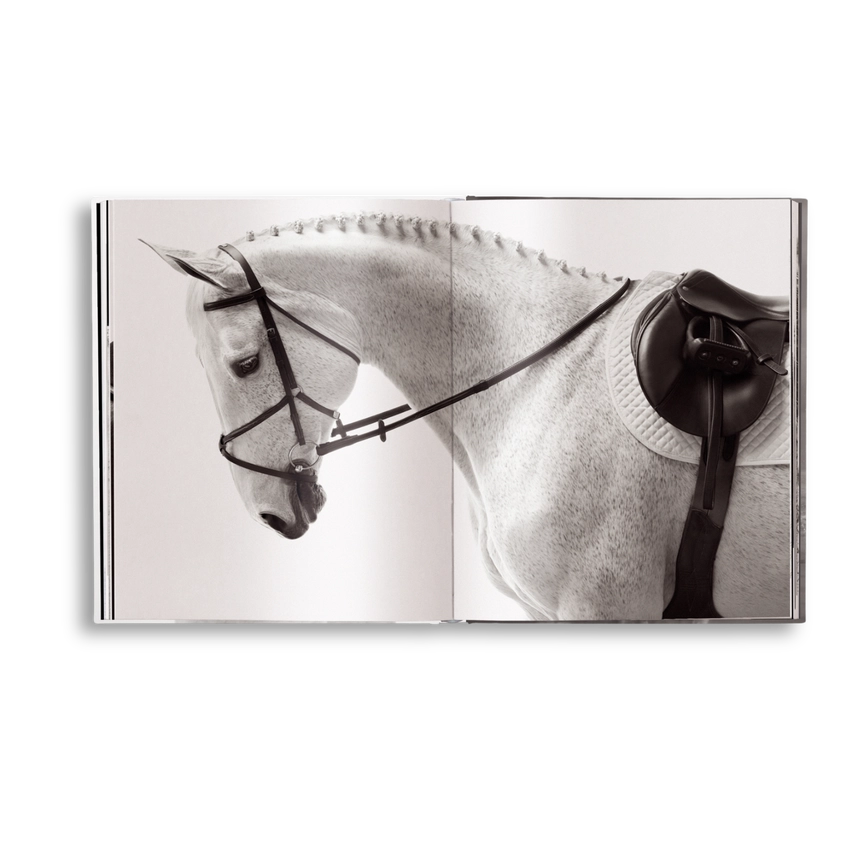 UNTAMED SPIRITS (CAVALOS) - Image 3